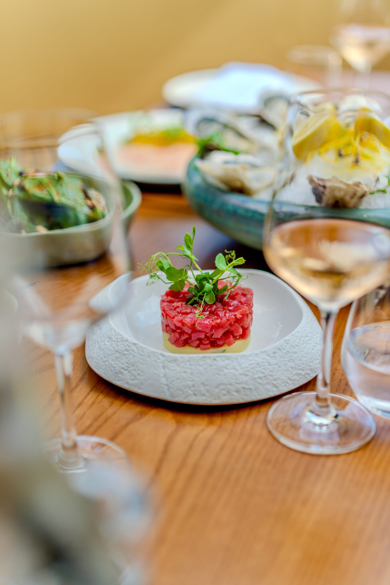 High end food served with wine in luxury dining